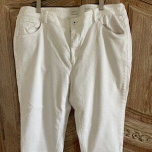 Jjill, white capri pants.